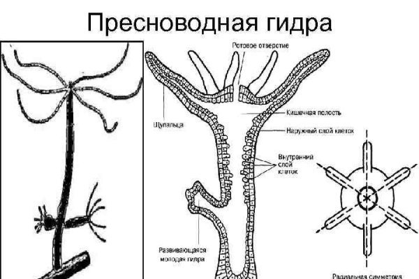 Кракен зеркало krk market com